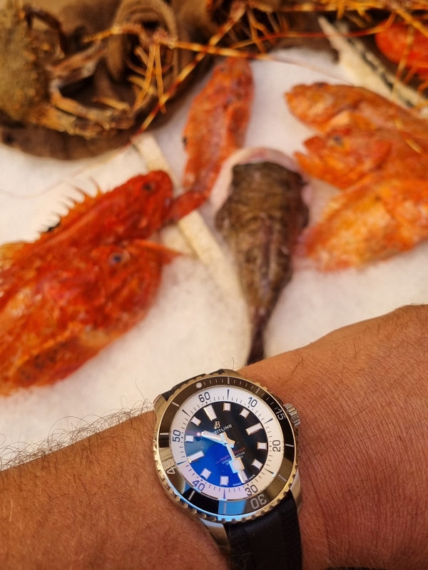 Breitling Superocean: Summer Travel Watch Review
