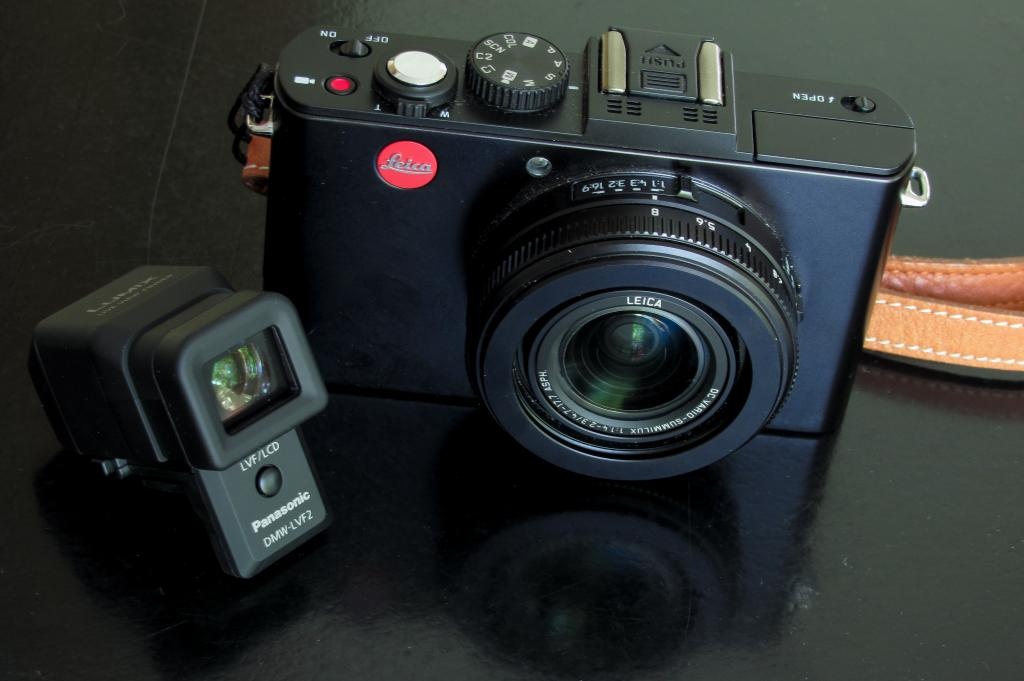 Leica D-Lux 6 - Ape to Gentleman