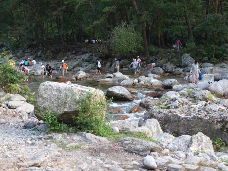 happy people at myohyang mountain. they finished their picnic and about to go home.