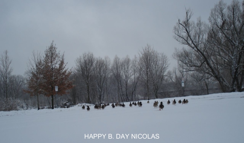 HAPPY B. DAY NICOLAS