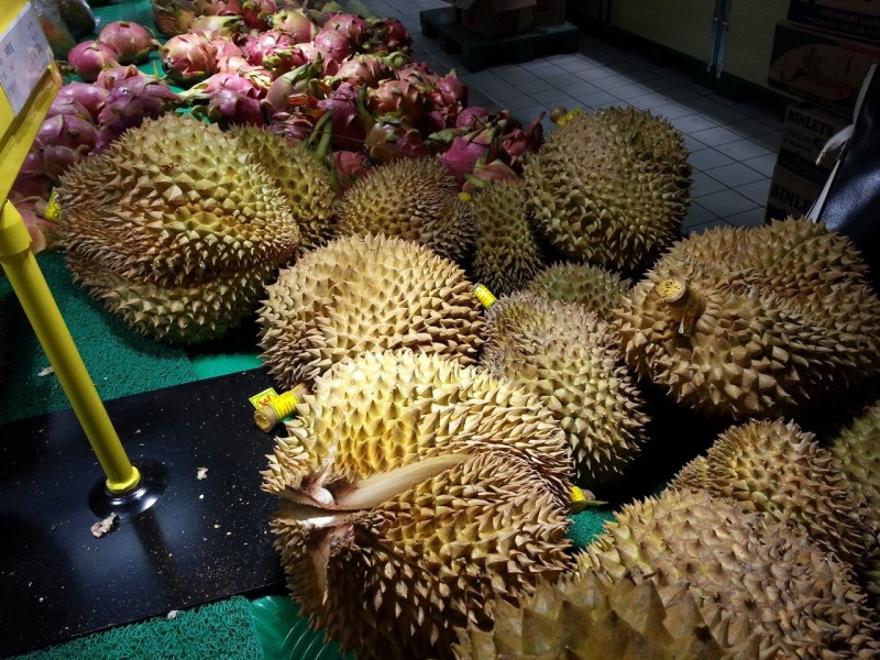 Durian: The King of Fruits – Absolutely Delicious, But The Smell