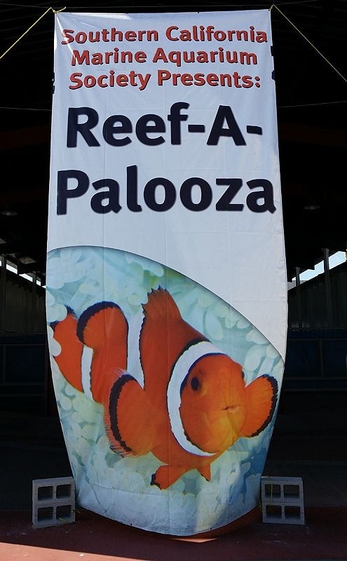 Reefapalooza - America's Largest Saltwater Aquarium Show