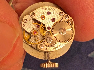 WatchTech - Thoughts on small and shapely ladies