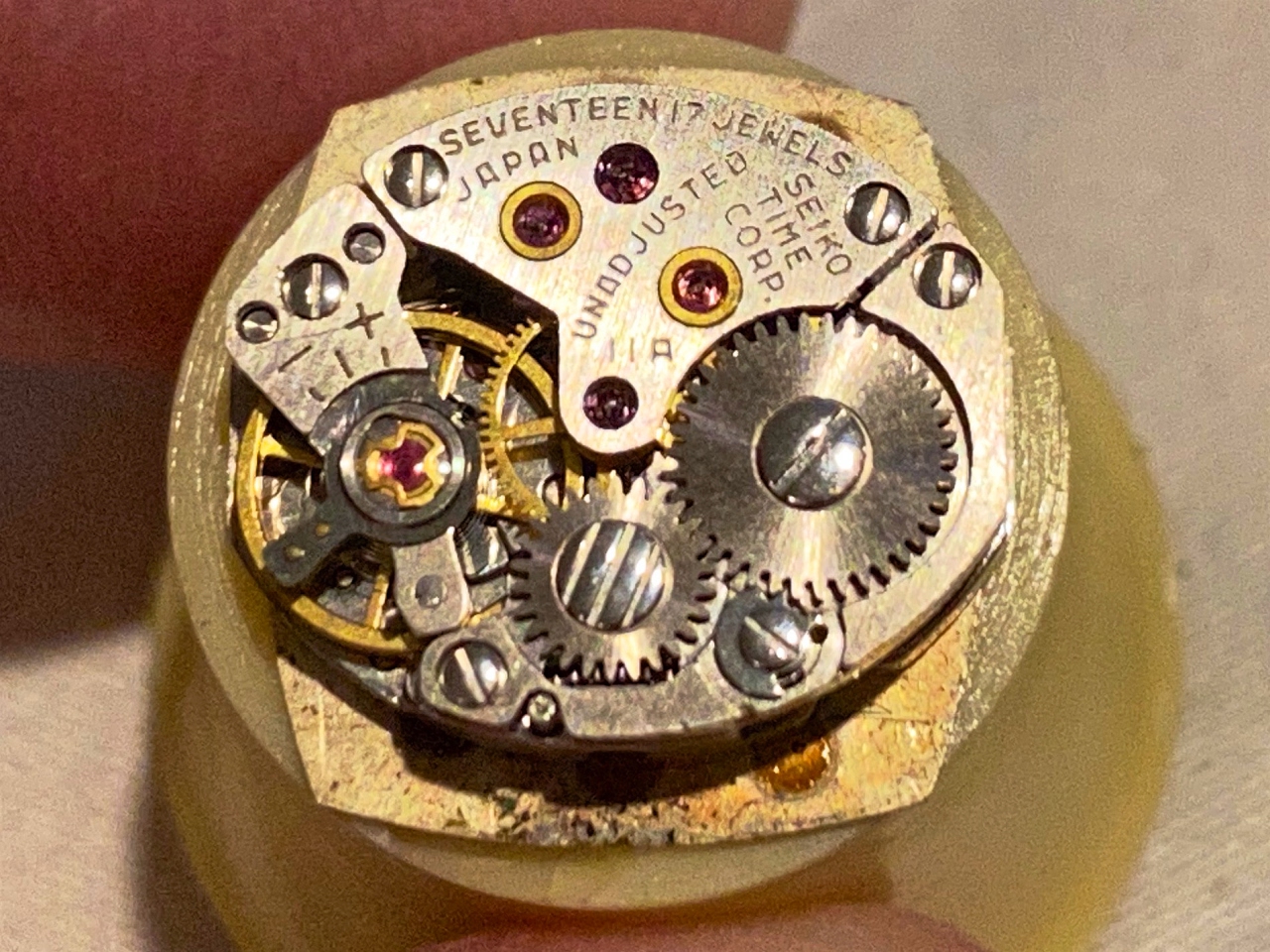 WatchTech - Thoughts on small and shapely ladies