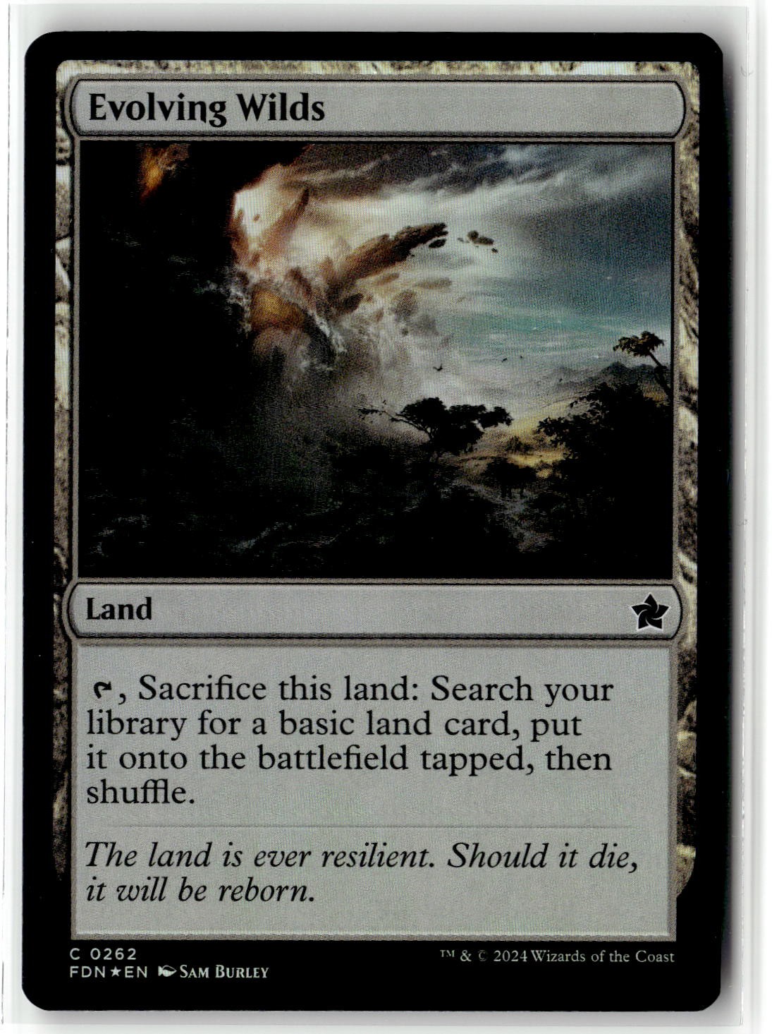 Foundations #262 Evolving Wilds Common Foil NM
