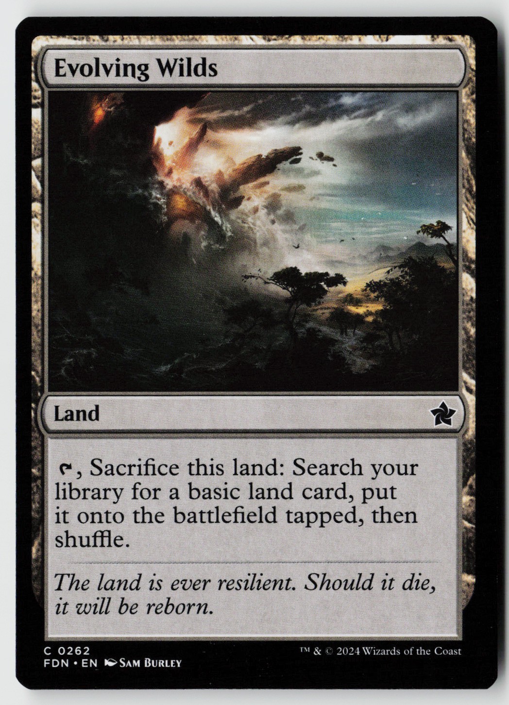 Foundations #262 Evolving Wilds