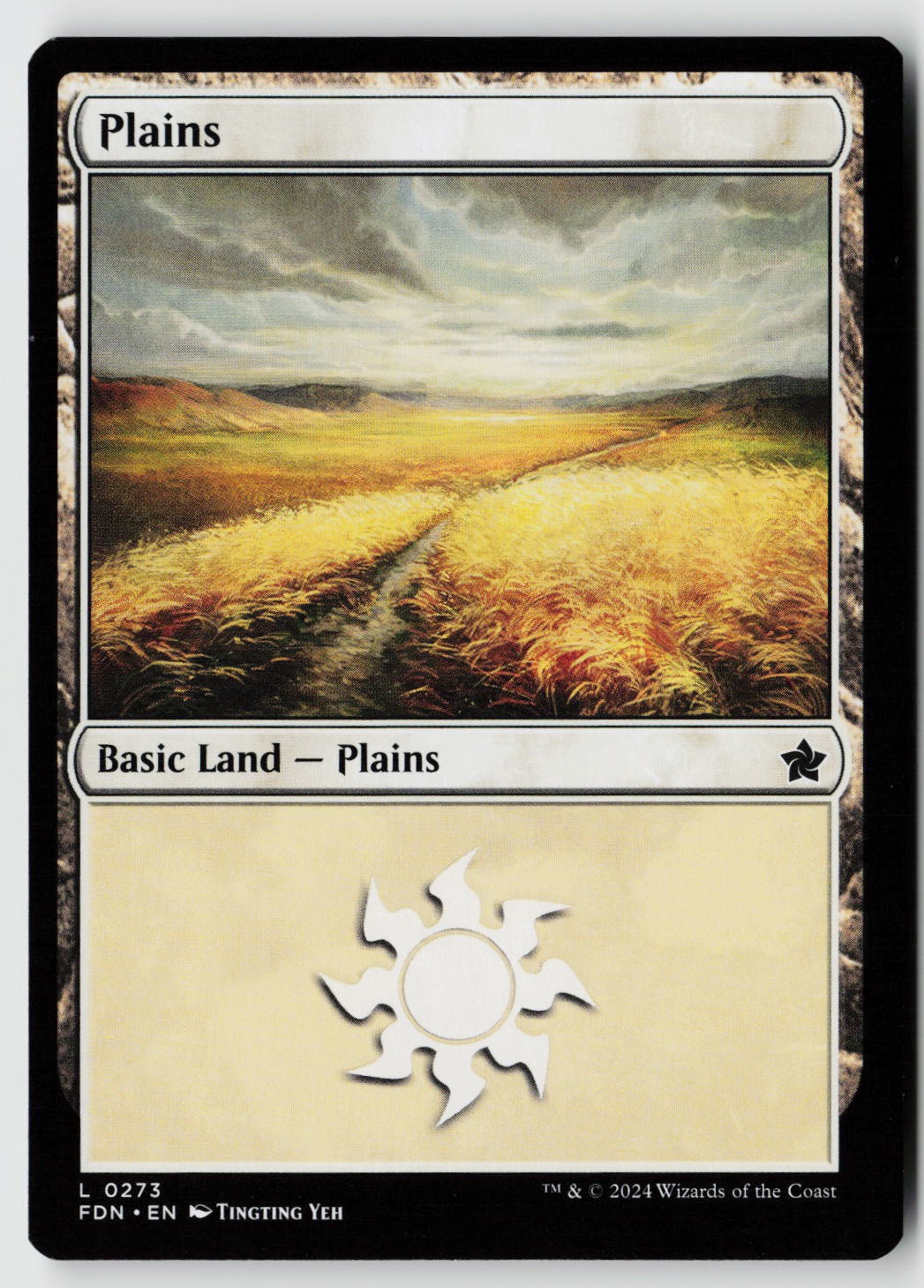 Foundations #273 Plains (0273)