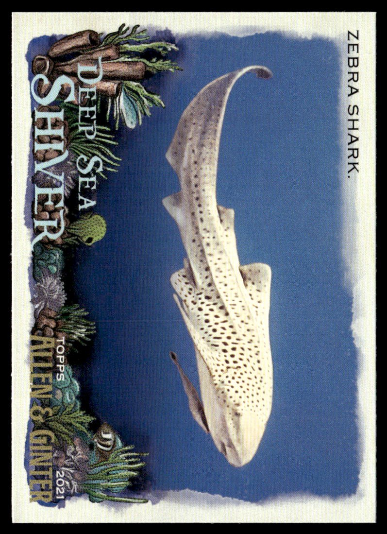 2021 Topps Allen & Ginter #DSS-14 Zebra Shark Deep Sea Shiver