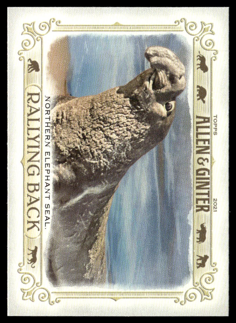 2021 Topps Allen & Ginter #RB-5 Northern Elephant Seal Rallying Back