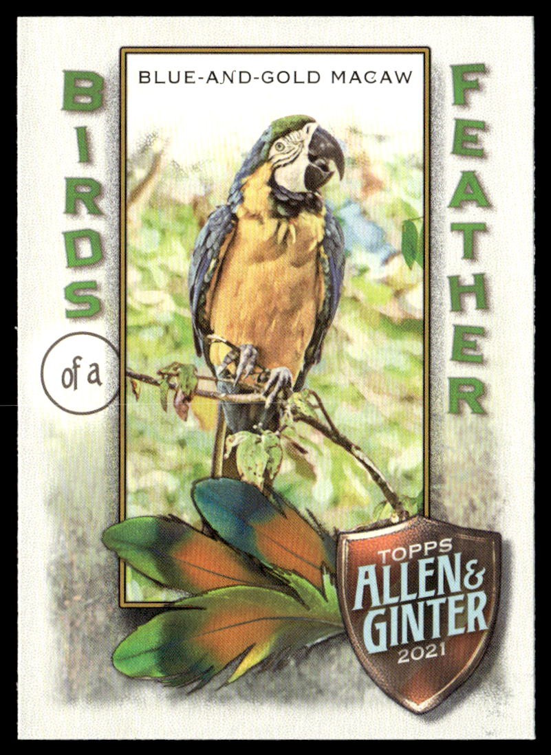 2021 Topps Allen & Ginter #BOF-4 Blue-and-Gold Macaw Birds of a Feather