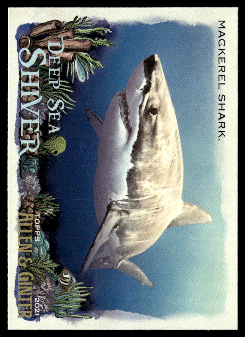2021 Topps Allen & Ginter #DSS-11 Mackerel Shark Deep Sea Shiver
