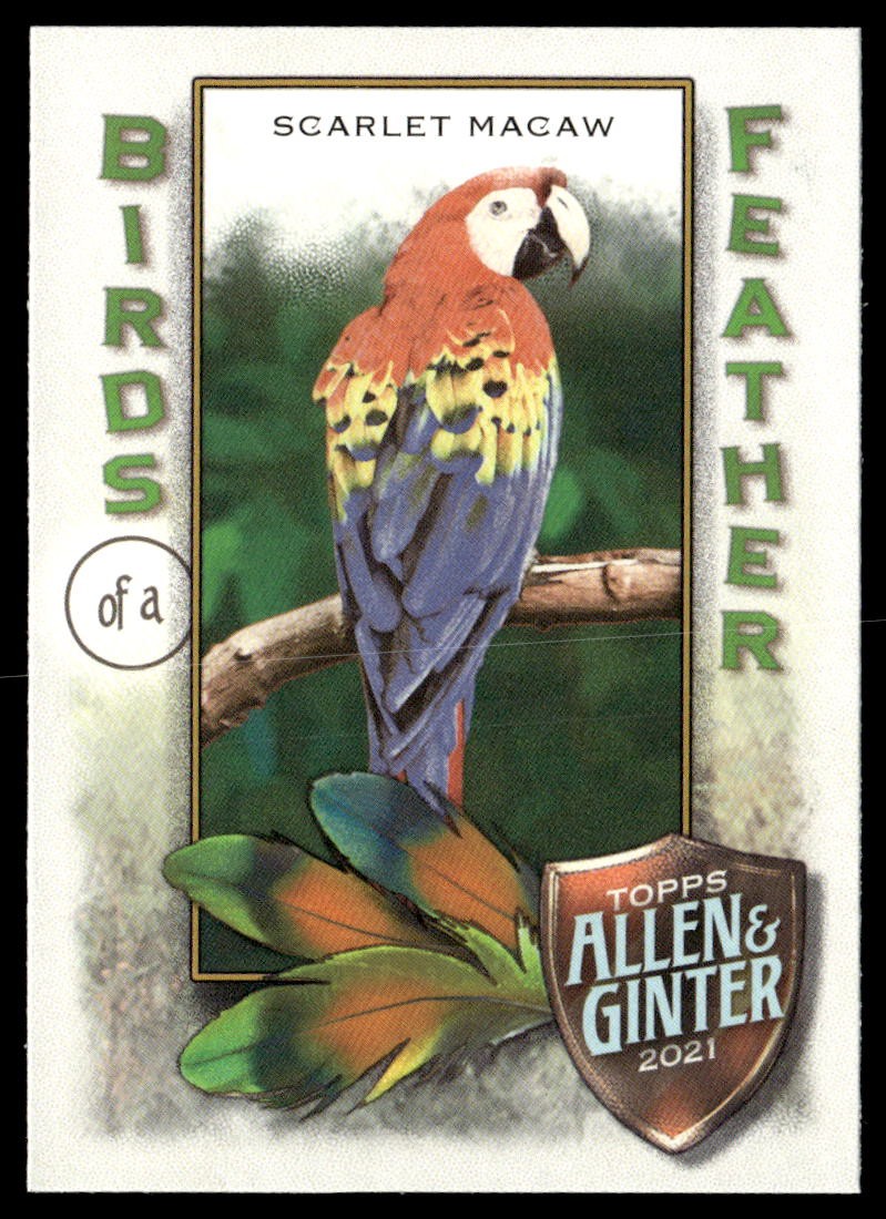 2021 Topps Allen & Ginter #BOF-3 Scarlet Macaw Birds of a Feather