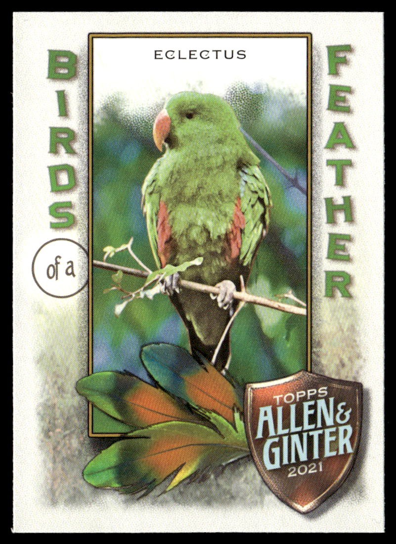 2021 Topps Allen & Ginter #BOF-1 Eclectus Birds of a Feather