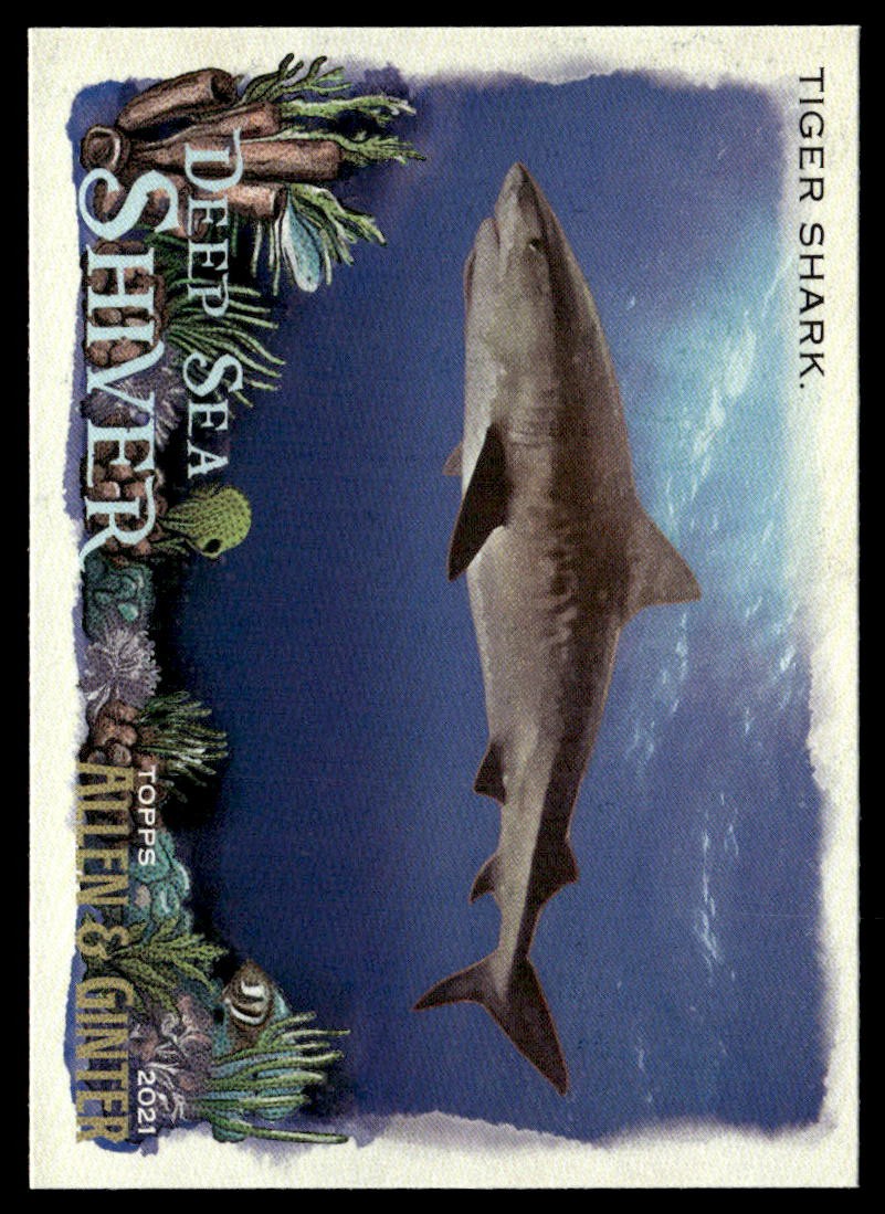 2021 Topps Allen & Ginter #DSS-4 Tiger Shark Deep Sea Shiver