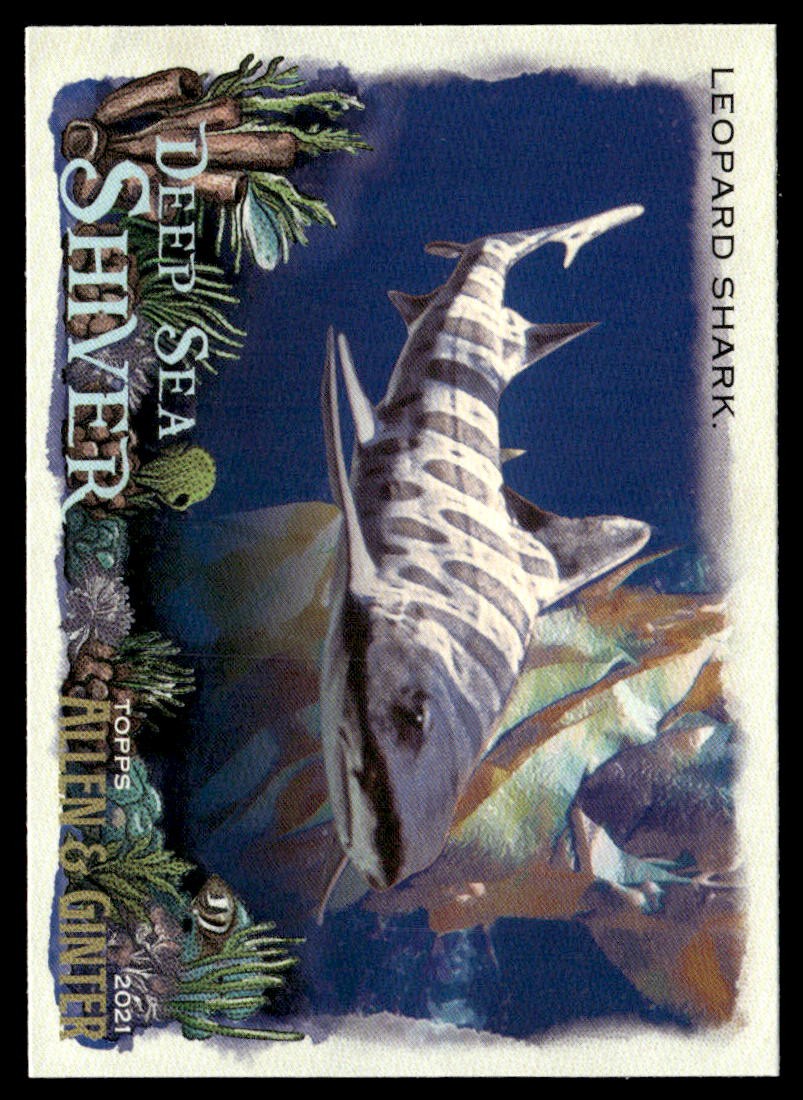 2021 Topps Allen & Ginter #DSS-12 Leopard Shark Deep Sea Shiver