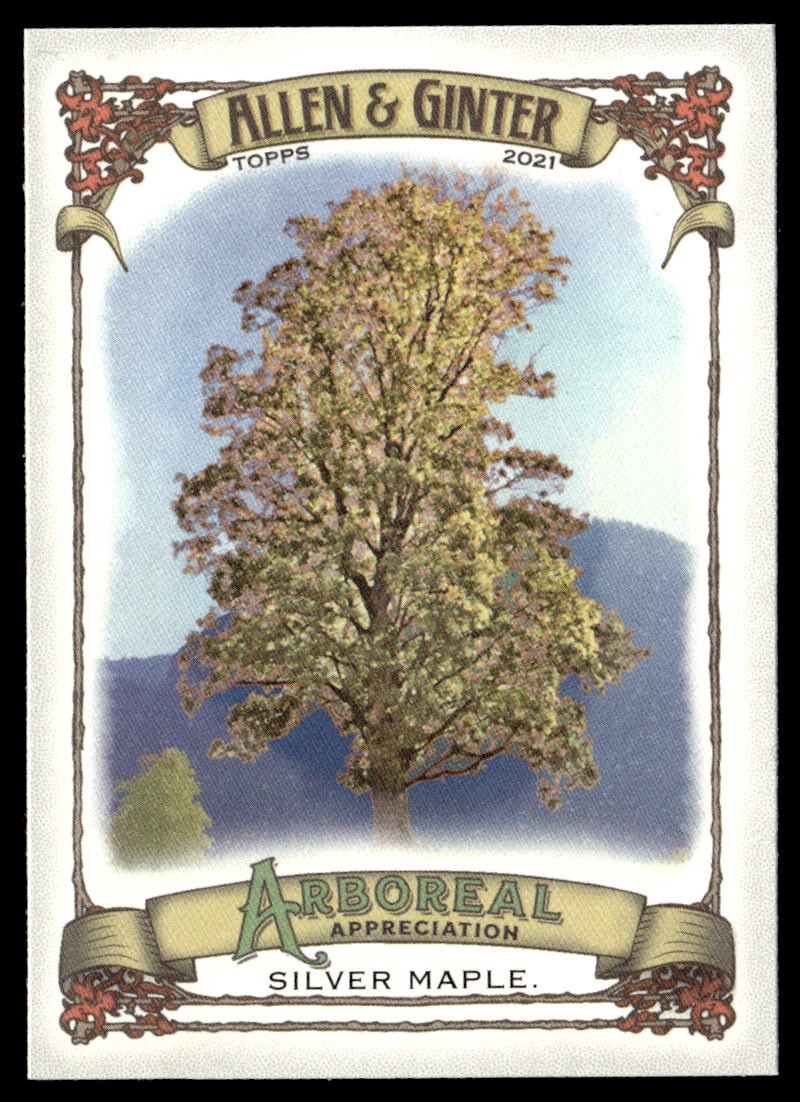 2021 Topps Allen & Ginter #AA-3 Silver Maple Arboreal Appreciation