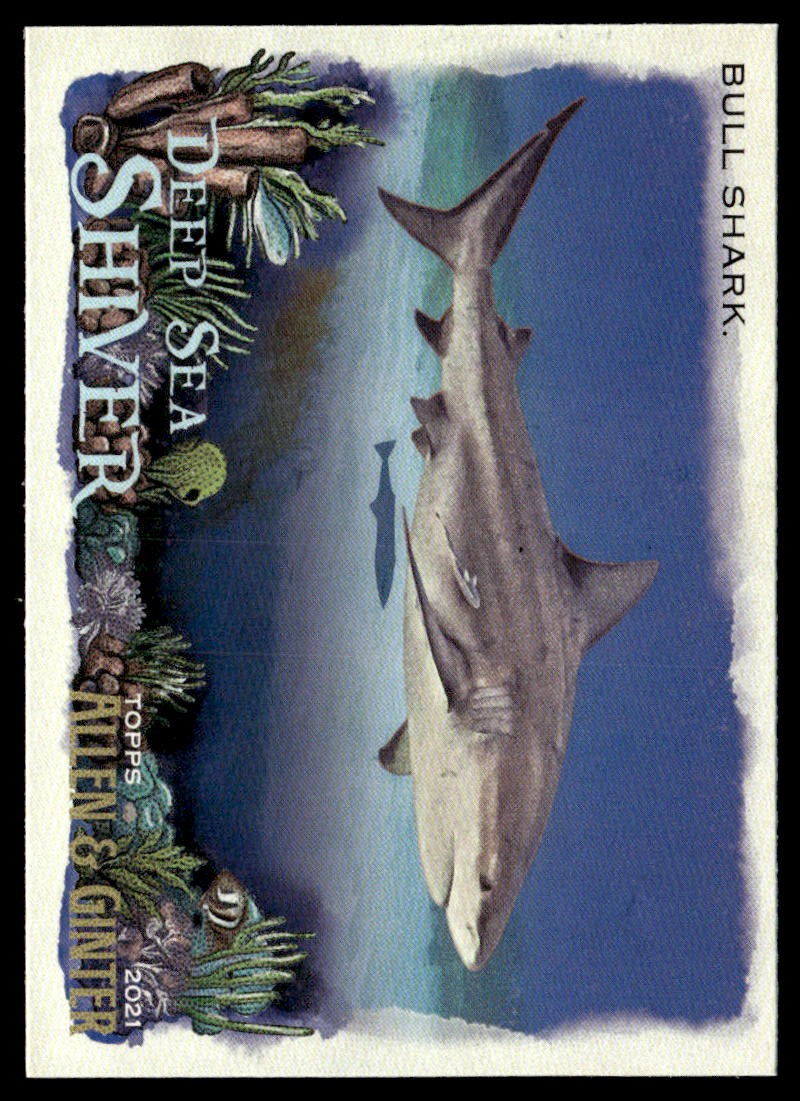 2021 Topps Allen & Ginter #DSS-2 Bull Shark Deep Sea Shiver