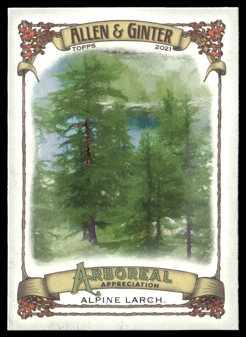 2021 Topps Allen & Ginter #AA-7 Alpine Larch Arboreal Appreciation