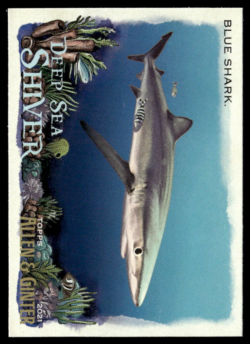 2021 Topps Allen & Ginter #DSS-5 Blue Shark Deep Sea Shiver