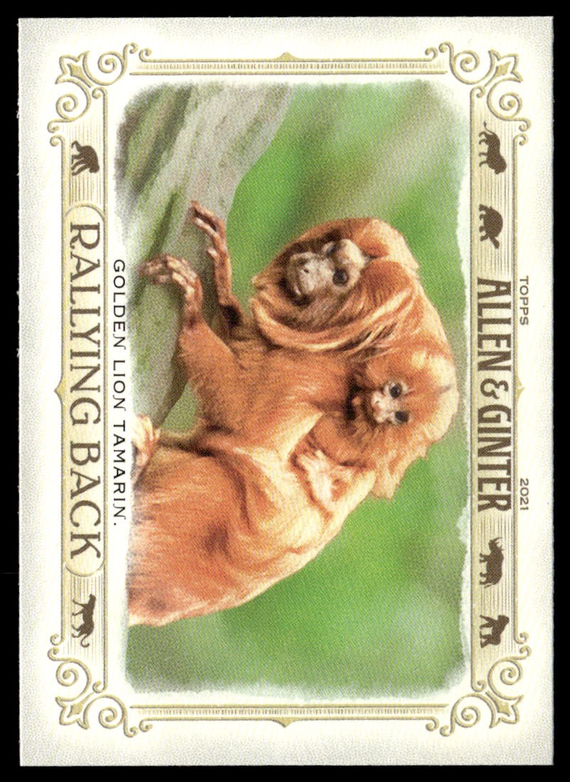 2021 Topps Allen & Ginter #RB-8 Golden Lion Tamarin Rallying Back