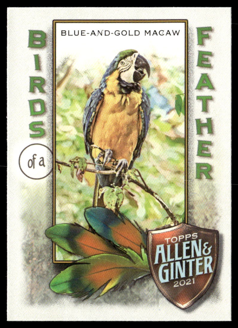 2021 Topps Allen & Ginter #BOF-4 Blue-and-Gold Macaw Birds of a Feather