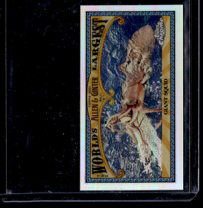 2021 Topps Allen & Ginter Chrome Giant Squid Mini World’s Largest