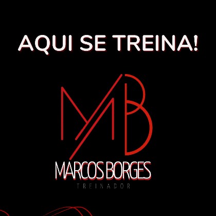 MARCOS  BORGES DOS SANTOS