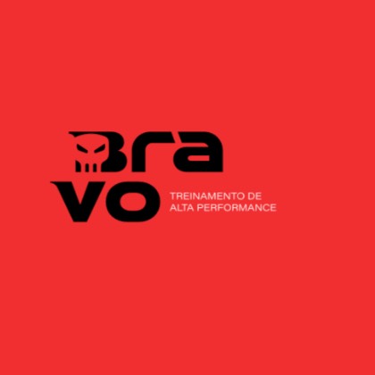 Bravo Performance