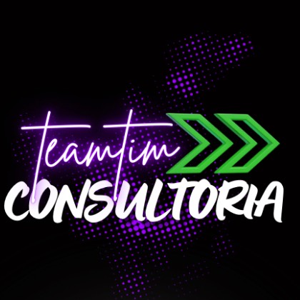 TEAM TIM