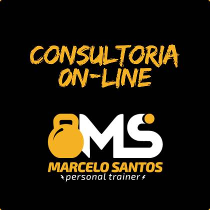 Marcelo Santos