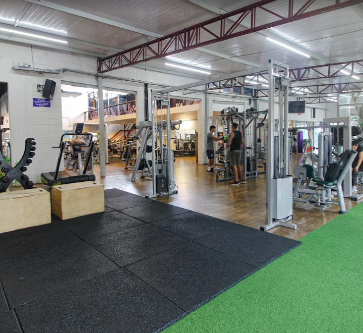 ACADEMIA TRAINER - Vila Mogilar 