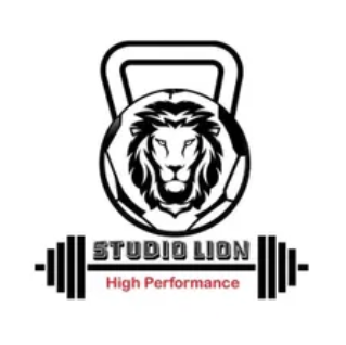 Studio Lion 