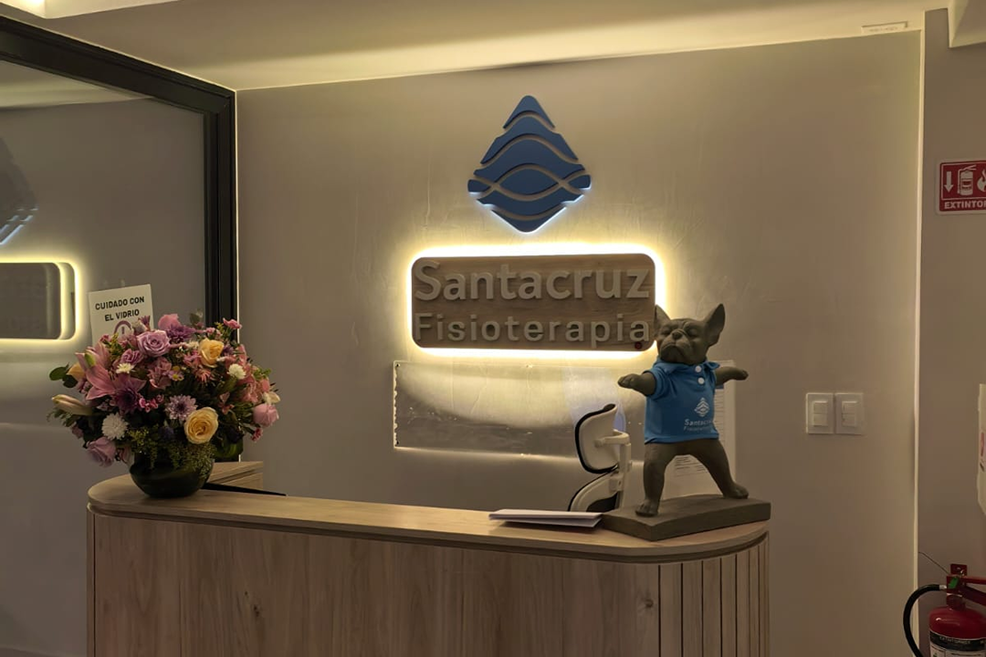 SantaCruz Fisioterapia San Angel