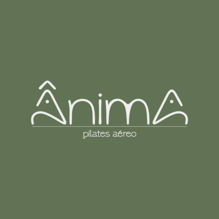 Ânima Pilates Aéreo