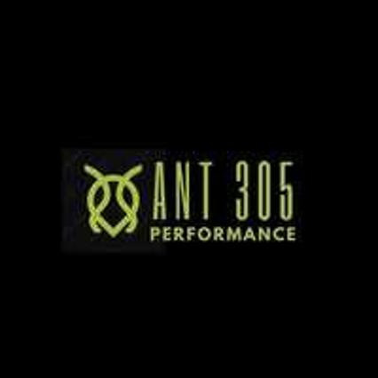 Ant 305 Performance