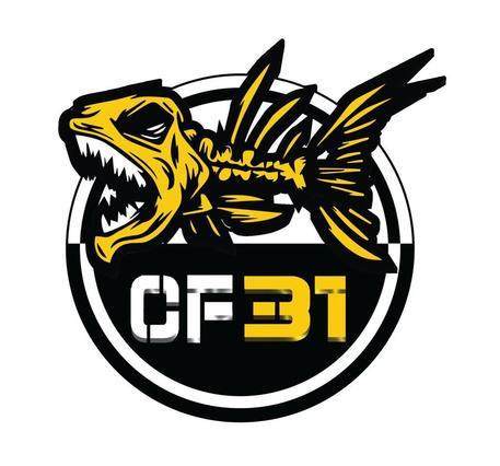 Box CF31-