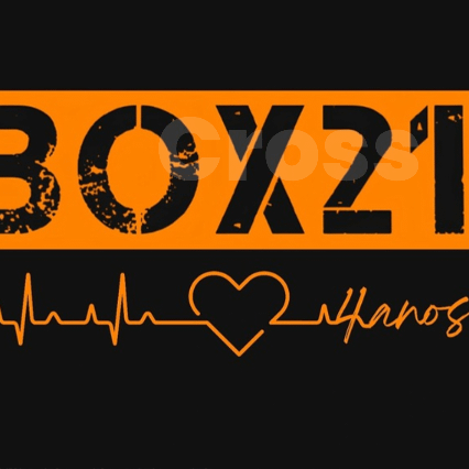 Box21 Cross Training