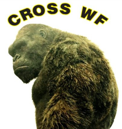 Cross Training WF
