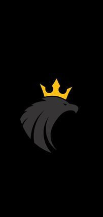 CT Black Eagle