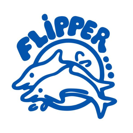 Flipper Natação