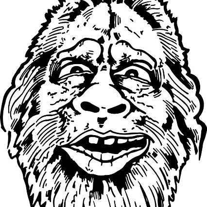 Missing Link CrossFit
