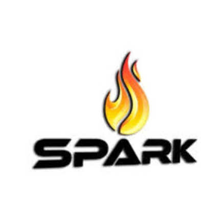 Spark Fit Training