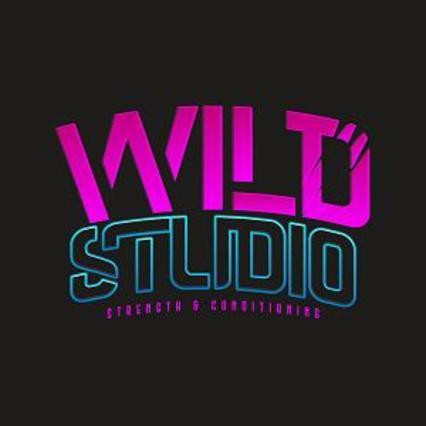 Wild Studio
