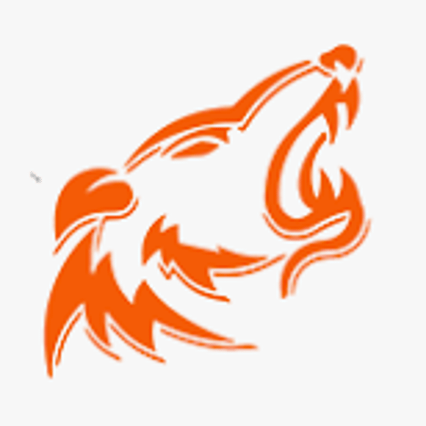 Wolfpack MMA Rockwall