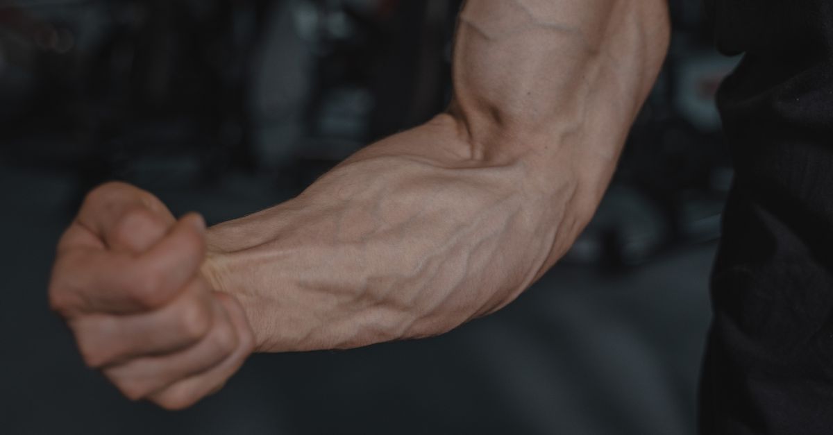 Steel Biceps