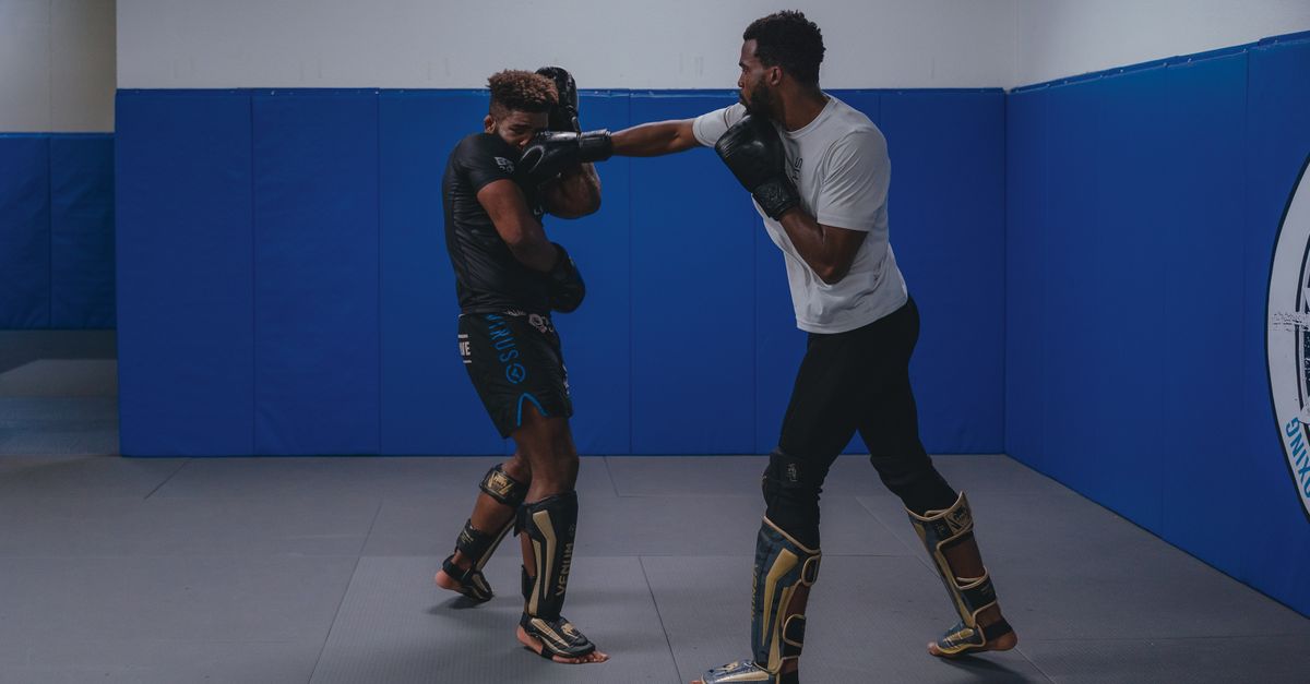 Boxing Defense