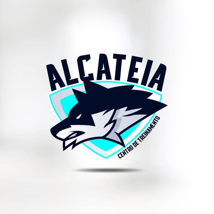 Academia