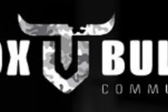 Box Bulls Community
