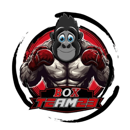 Box Team23