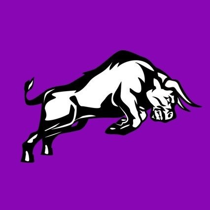 Bull Trainers Academia Ltda